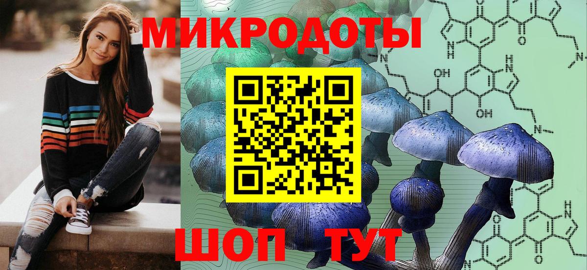 Псилоцибиновые грибы мицелий Строитель