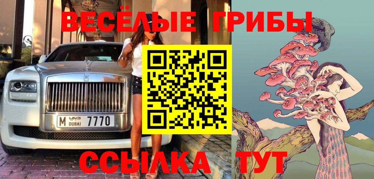 Псилоцибиновые грибы Cubensis  Вход с VPN  Строитель 